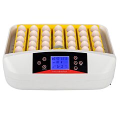 42-egg Practical Fully Automatic Poultry Incubator With Egg Candler Us Standard Yellow & & White & Transparent Yf - White